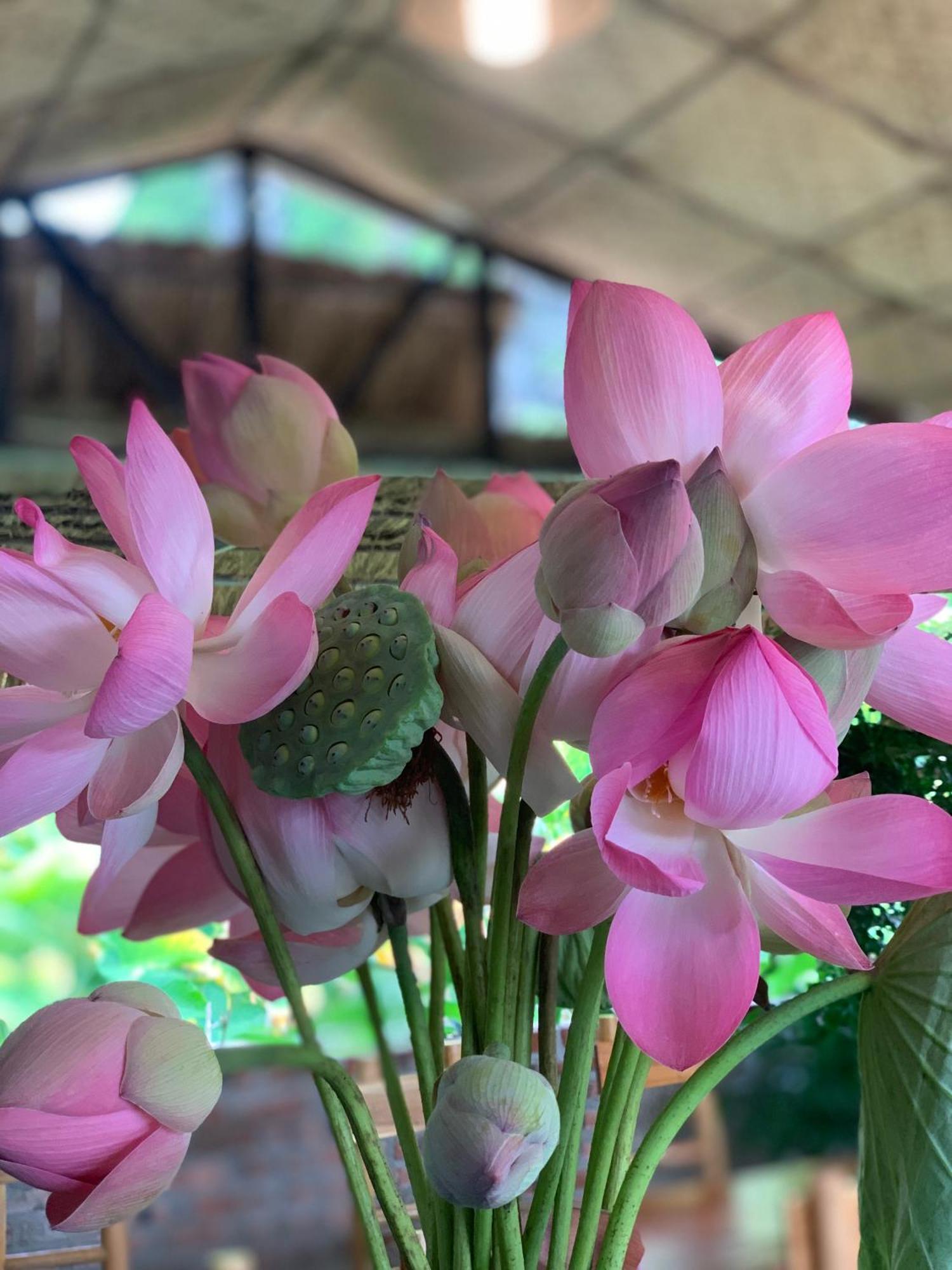 Peaceful Refuge Homestay Нин Бин Екстериор снимка