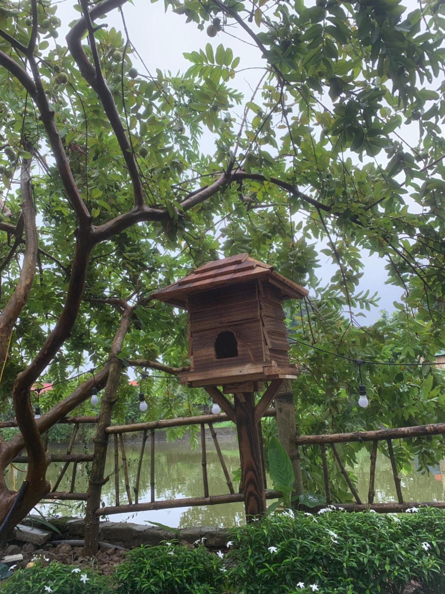 Peaceful Refuge Homestay Нин Бин Екстериор снимка