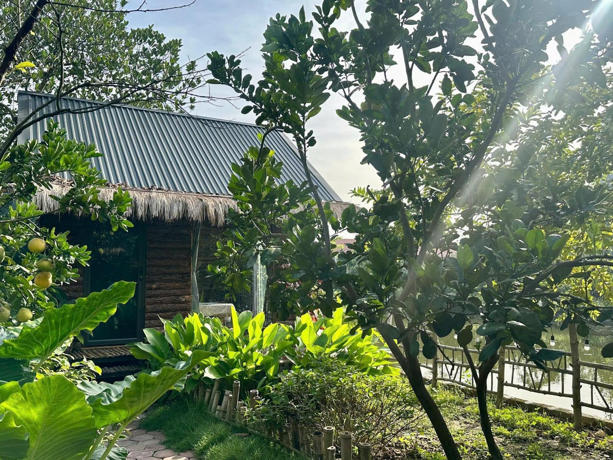 Peaceful Refuge Homestay Нин Бин Екстериор снимка